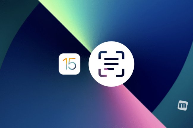 Texto ao Vivo: o que é e como usar o recurso usando a câmera do iPhone