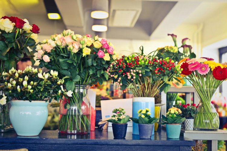 67 Nomes Para floriculturas e como escolher o melhor