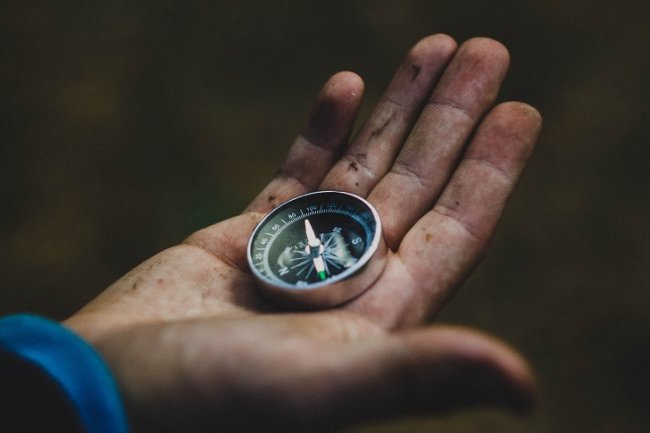 Cultura Data-driven: como abandonar o feeling e aplicar uma gestão baseada em dados?